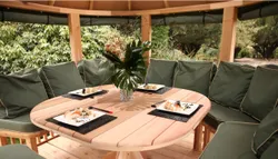 Professional Package