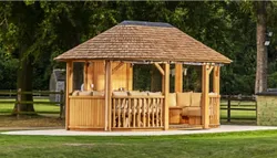 Professional Package