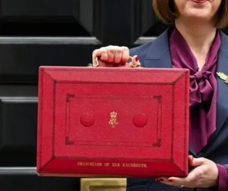 Budget News: A Bright Outlook for Garden Investments 🌿