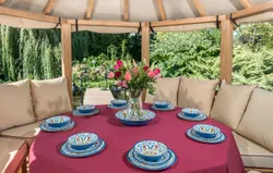 Professional Package